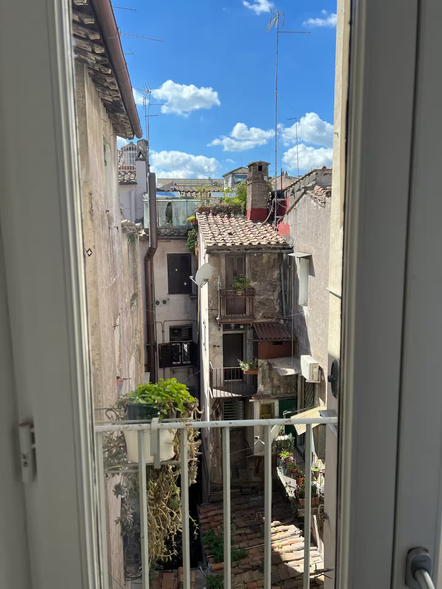 Campo de' Fiori 1 — foto 24