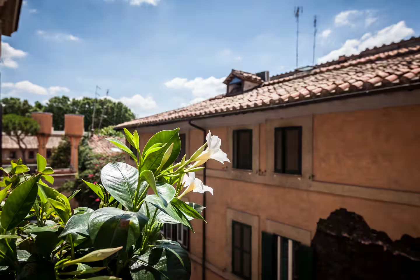 Loft Trastevere — foto 13